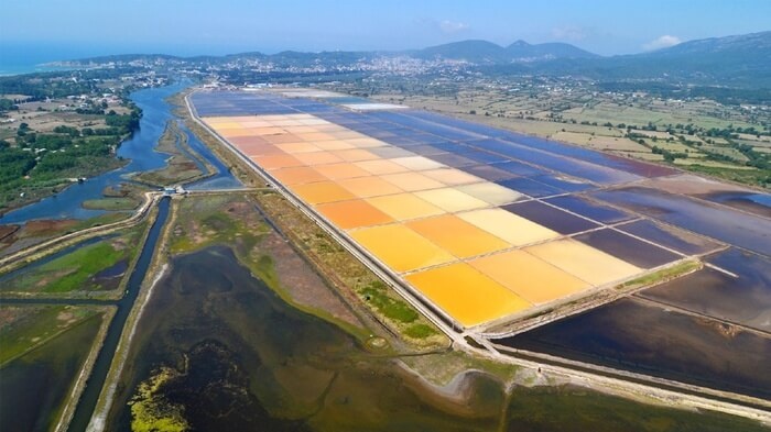 Ulcinj Salt Flats & Birdwatching Experience
